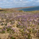 Noticias del Fin | "Burla a Dios": Israel desata críticas por festival LGBTQ cerca de Sodoma y Gomorra